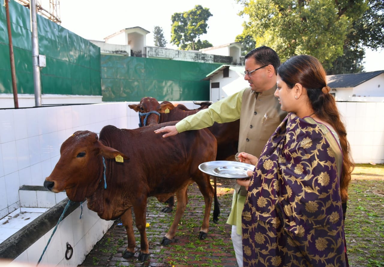 सीएम पुष्कर सिंह धामी ने गोवर्धन पूजा के अवसर पर गायों की पूजा कर प्रदेश की सुख- समृद्धि की कामना की