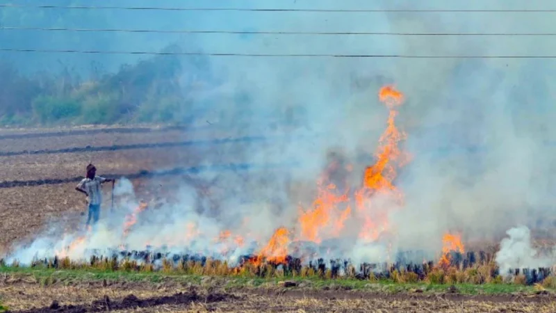 प्रशासन के पराली जलाने पर रोक के बाद नौ किसानों की किसान सम्मान निधि रोकने का हुआ नोटिस जारी