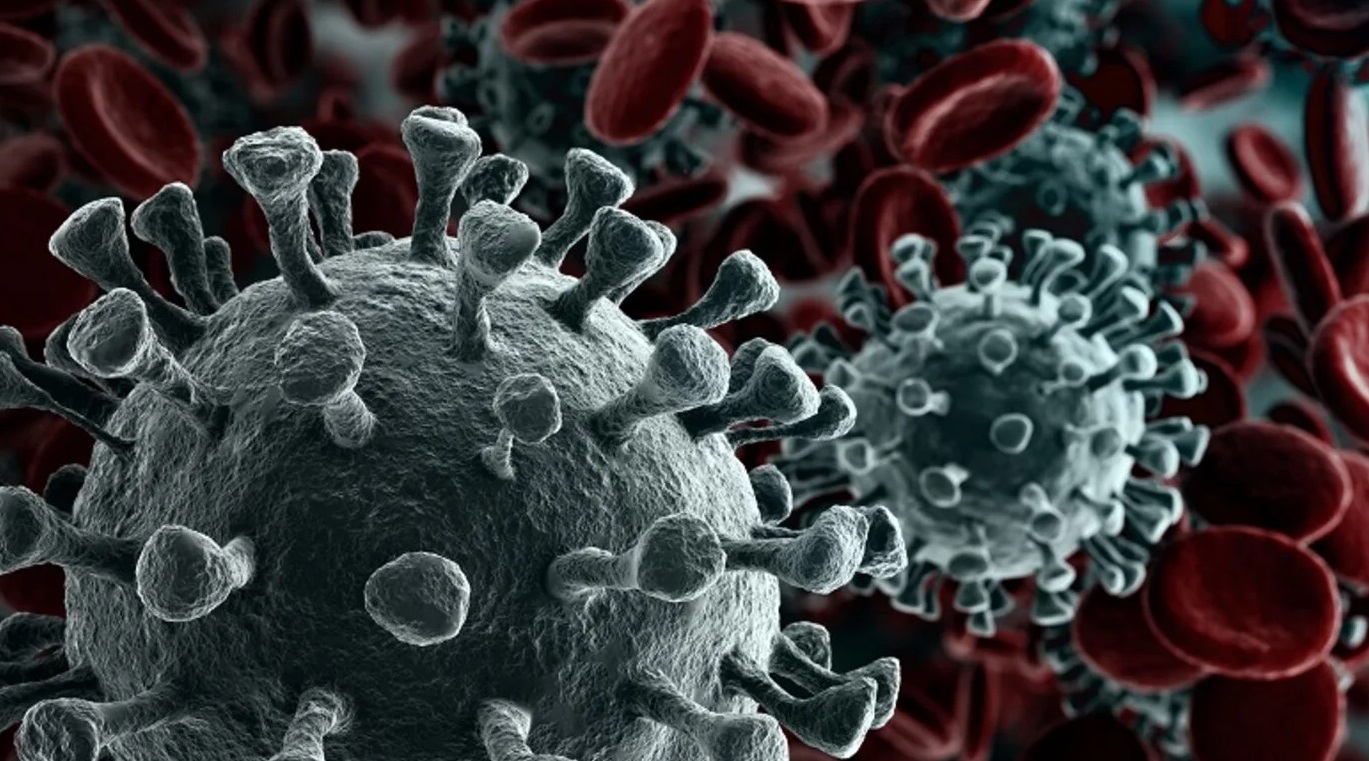 रुड़की में एच3एन2 इन्फ्लूएंजा वायरस ने दी दस्तक, एक महिला में हुई वायरस की पुष्टि, हालत गंभीर